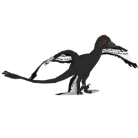 Anchiornis Primevalraptor Zt2 Download Library Wiki Fandom