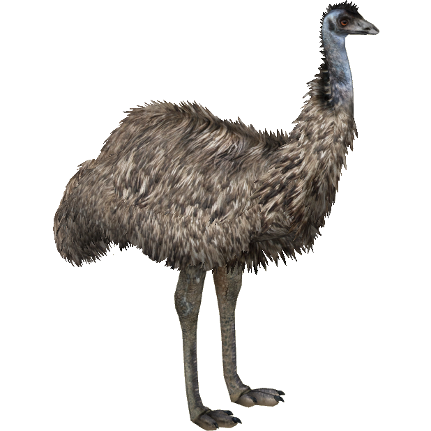 Emu (Eryel & Maximilian) | ZT2 Download Library Wiki | Fandom