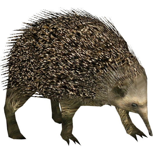 https://vignette.wikia.nocookie.net/zt2downloadlibrary/images/d/d2/West_Europe_Hedgehog_%28Tamara_Henson%29.png/revision/latest?cb=20150122153458