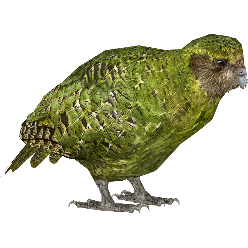 Kakapo (Jannick) | ZT2 Download Library Wiki | FANDOM powered by Wikia