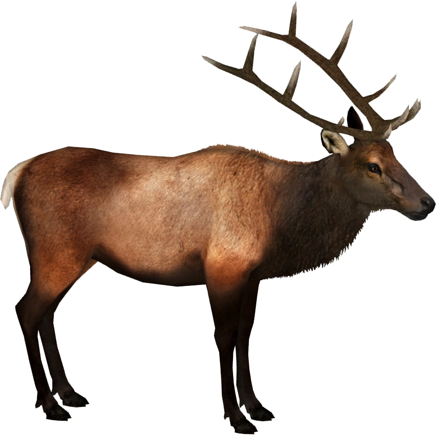 https://vignette.wikia.nocookie.net/zt2downloadlibrary/images/d/d5/Eastern_Elk_%28Tamara_Henson%29.png/revision/latest?cb=20160726151941
