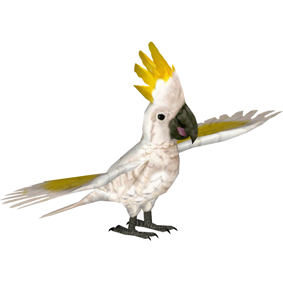 https://vignette.wikia.nocookie.net/zt2downloadlibrary/images/d/d7/Greater_Sulphur-Crested_Cockatoo_%28Tamara_Henson%29.png/revision/latest?cb=20180821153058