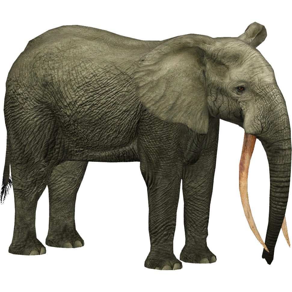 African Forest Elephant (DRAGON-unit911) | ZT2 Download Library Wiki