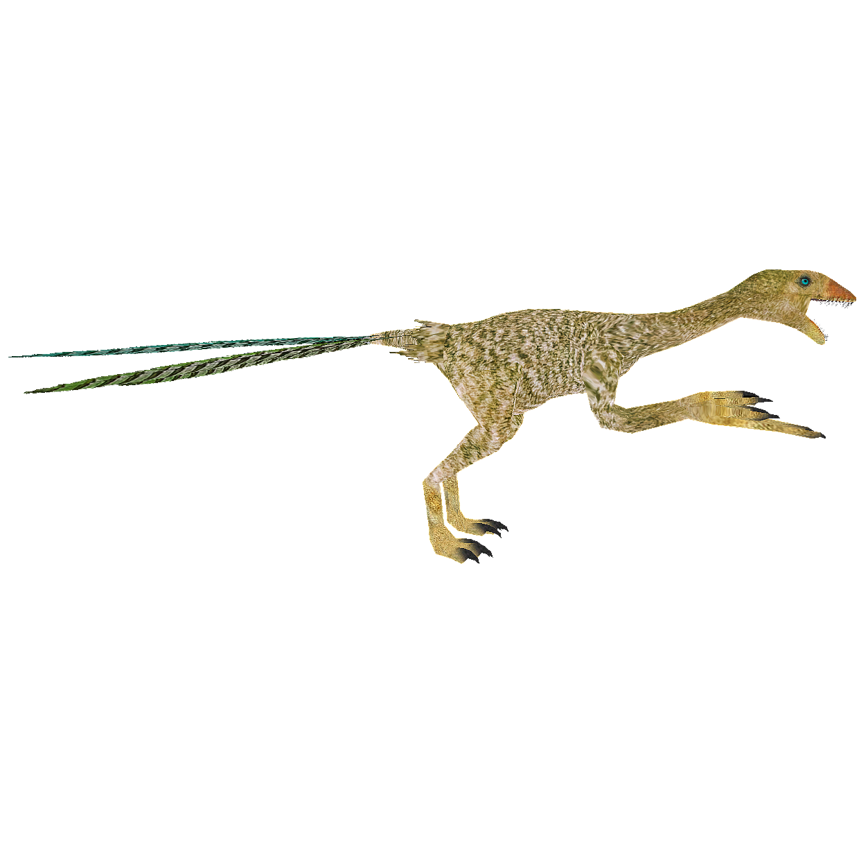 epidexipteryx