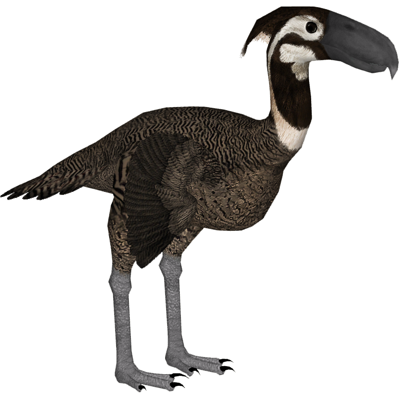 zoo tycoon 2 gastornis