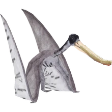 Pterodaustro (Renee &amp; Whalebite)