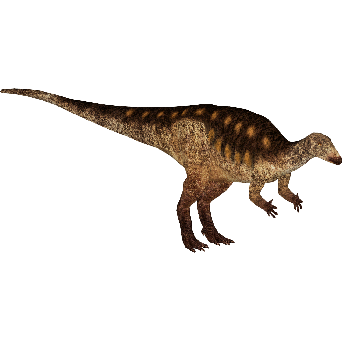 camptosaurus and stegosaurus