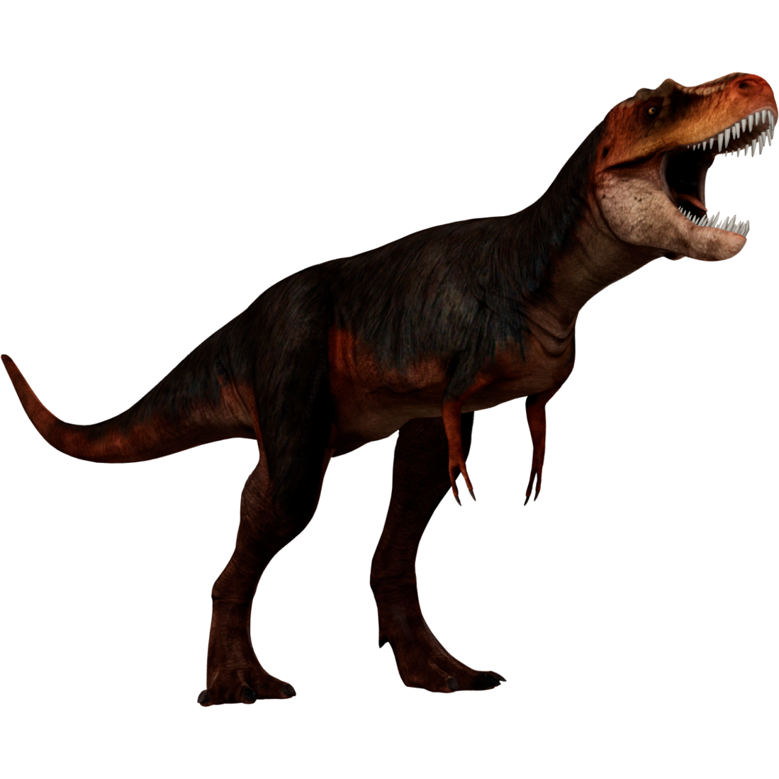 Albertosaurus Marvels 3volved Zt2 Library Wiki Fandom Albertosaurus Marvels 3volved
