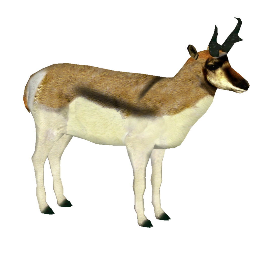 https://vignette.wikia.nocookie.net/zt2downloadlibrary/images/e/e7/Lesser_Pronghorn_%28Tamara_Henson%29.png/revision/latest?cb=20150814012853