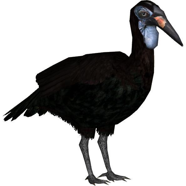 Northern Ground Hornbill (DutchDesigns) | ZT2 Download Library Wiki