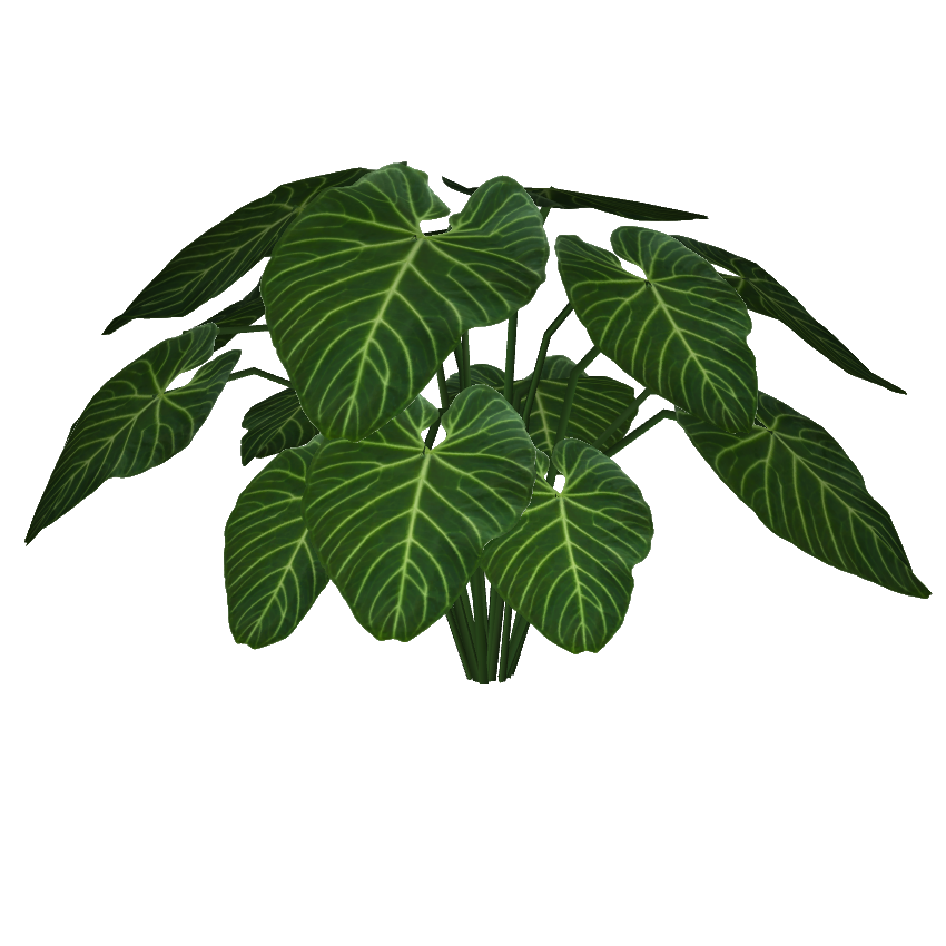 Anthurium Regale (Nils) | ZT2 Download Library Wiki | Fandom