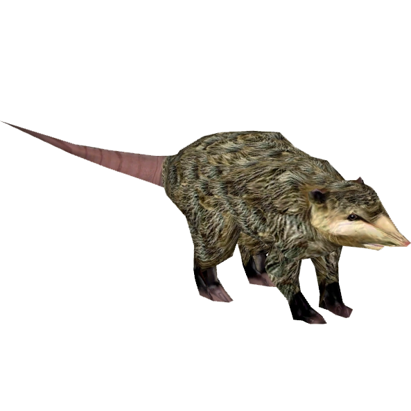 https://vignette.wikia.nocookie.net/zt2downloadlibrary/images/f/f0/North_American_Opossum_%28Tamara_Henson%296.png/revision/latest?cb=20150223135807