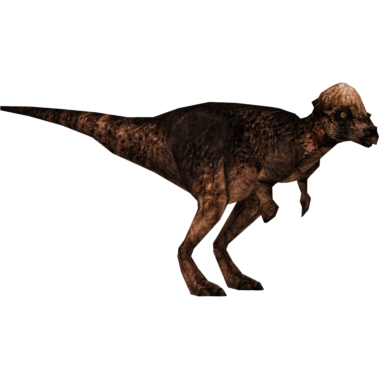 Jurassic Park Pachycephalosaurus Tyranachu Zt2 Download Library Wiki Fandom Powered By Wikia 8957