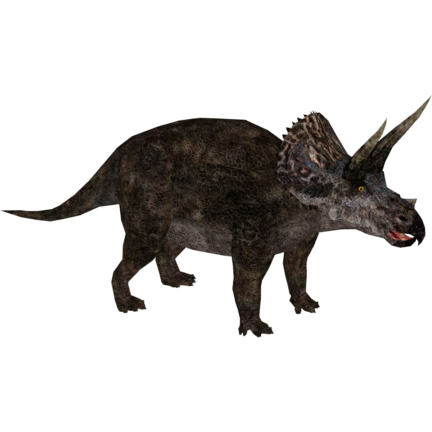 Zt2 Downloads Animals Zt2 Downloads Animals