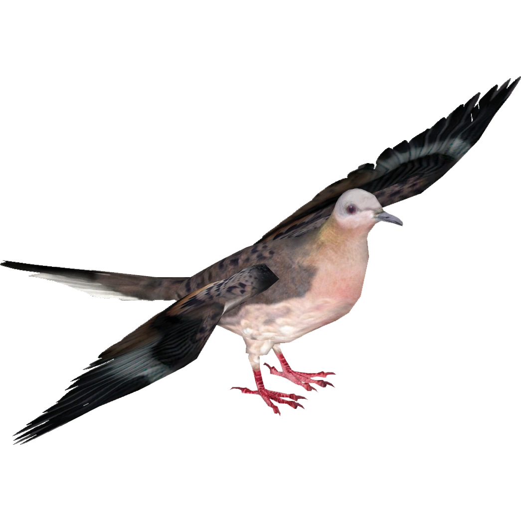 https://vignette.wikia.nocookie.net/zt2downloadlibrary/images/f/fe/Passenger_Pigeon_%28Tamara_Henson%29F.png/revision/latest?cb=20160725212204
