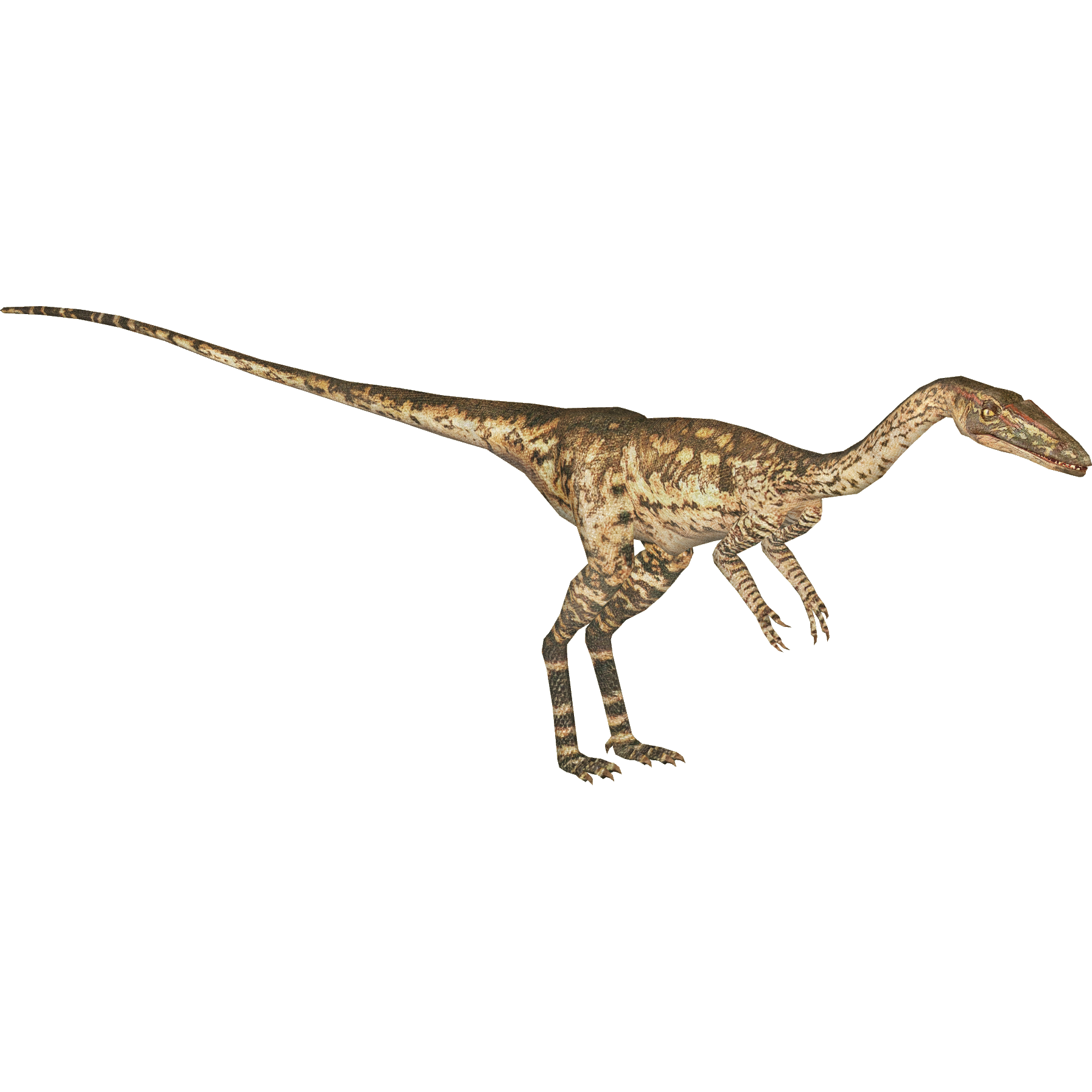 Coelophysis (HENDRIX) | ZT2 Download Library Wiki | Fandom