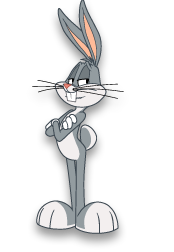 Lt bugs 174x252
