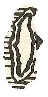 HiberniaMapa