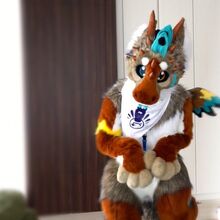 Blog Uzytkownika Love Ola Fursuits Zwierzogrod Wikia Fandom