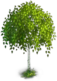 Image - Birch Tree.png | Legends: Rise of a Hero Wiki | FANDOM powered